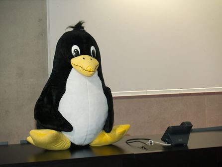 Velký tučňák Tux, který byl v hlavním sále přítomen po celou konferenci a pak se stal hlavní cenou v anketní soutěži