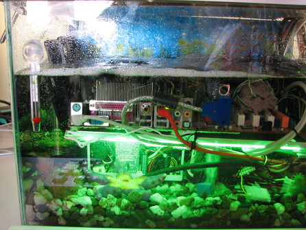Počítačové akvárium Martina Čaje