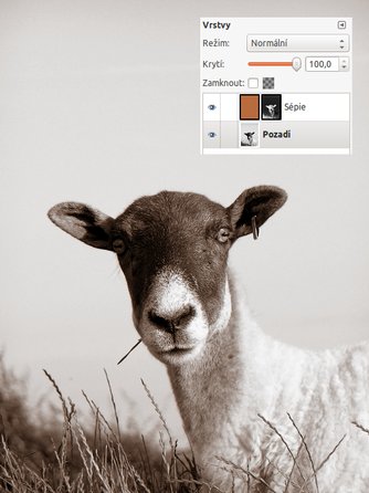 Výsledná fotografie s efektem sépie