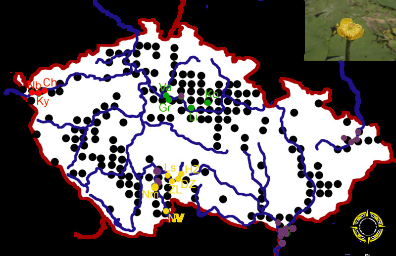 Mapka rozšíření stulíku žlutého