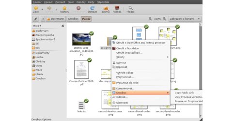 Kopírovat odkaz na veřejný soubor lze v Nautilu přes kontextovou nabídku