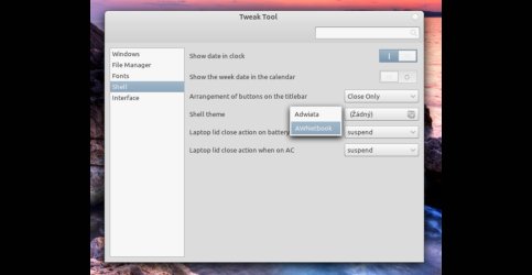 Výběr motivu vzhledu GNOME Shellu