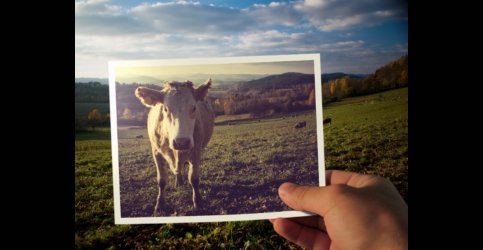 Polaroid pevně v dlani