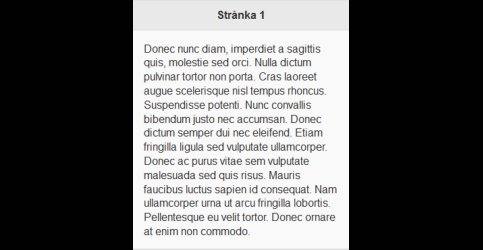 stranka1.png