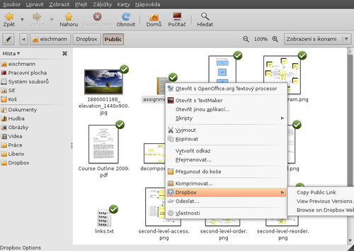 Kopírovat odkaz na veřejný soubor lze v Nautilu přes kontextovou nabídku