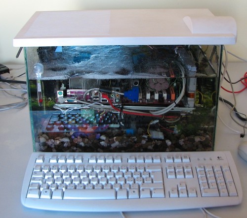 Počítačové akvárium Martina Čaje