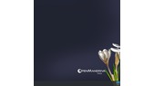 openmandriva43_01.png