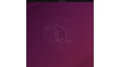 ubuntu2510beta_01.png