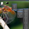 Live CD/DVD DragonFly BSD zužitkujete i takto - do menu sa dostanete pravým tlačidlom myši