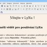 Program LyX ihned po spuštění