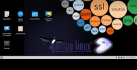 Gentoo-black2b.jpg