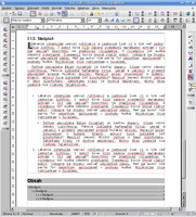 Nesprávne zobrazené OpenType písmo v OpenOffice.org pod Linuxom